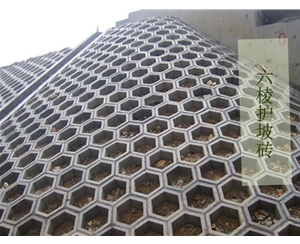 六角護(hù)坡磚